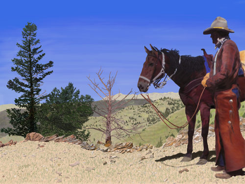 Cowboy Vista